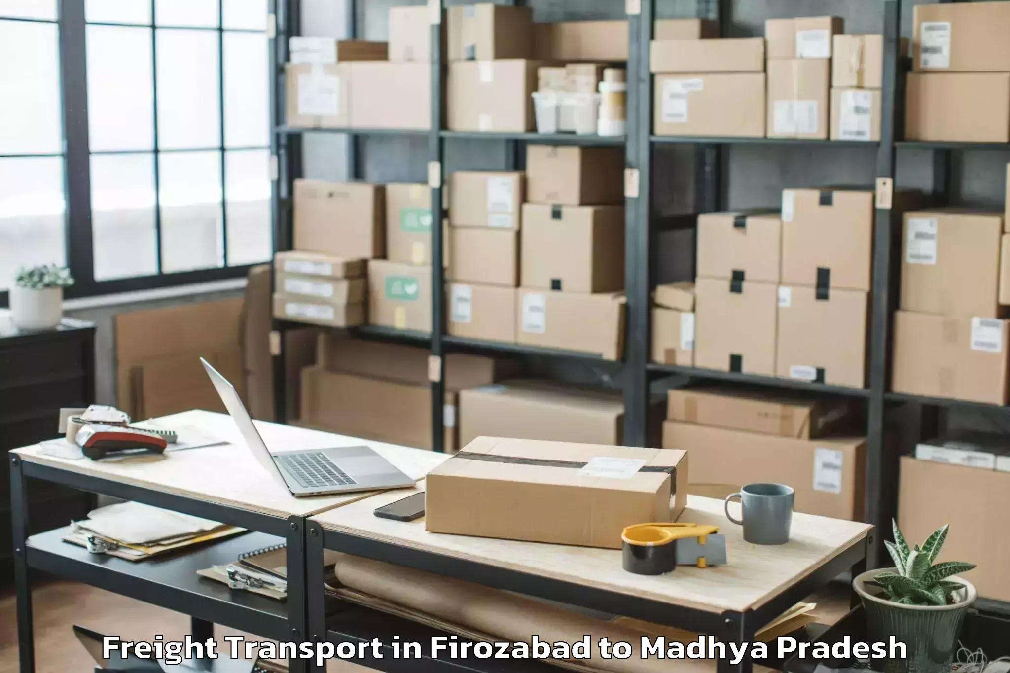 Quality Firozabad to Dhamnod Freight Transport